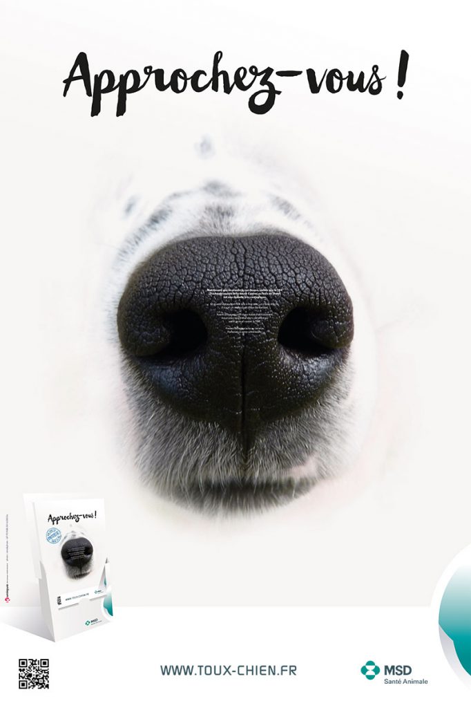 Campagne d'information sur la toux du chien