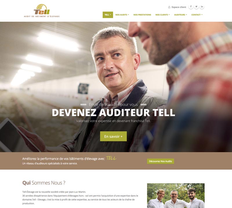 tell-audit