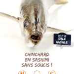 Chinchard en sashimi sans soucis