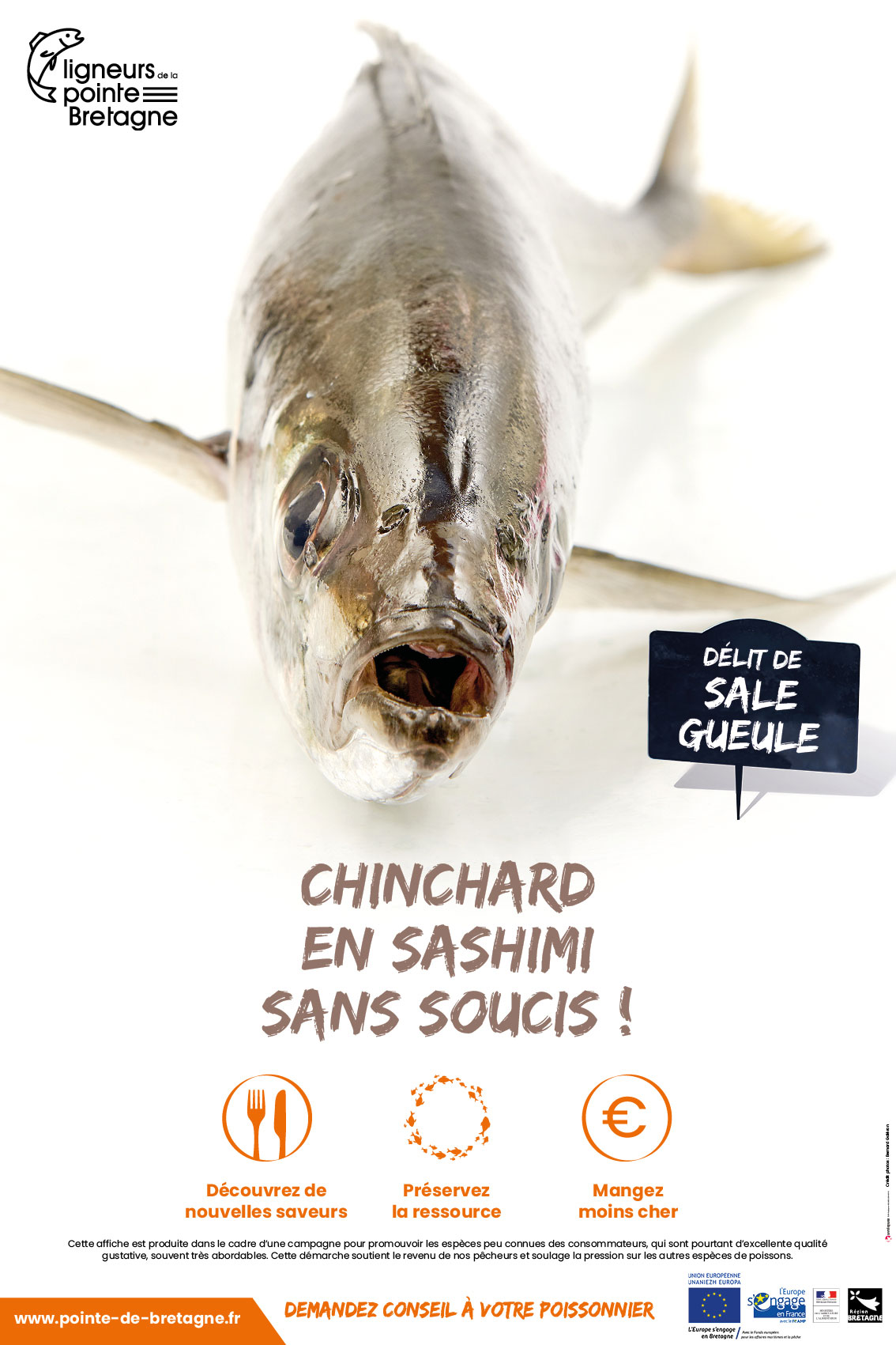 Chinchard en sashimi sans soucis