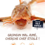 Grondin mal aimé cherche chef étoilé