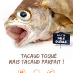 Tacaud toqué mais tacaud parfait